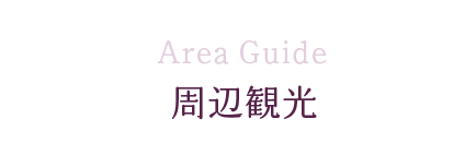 周辺観光　Area Guide